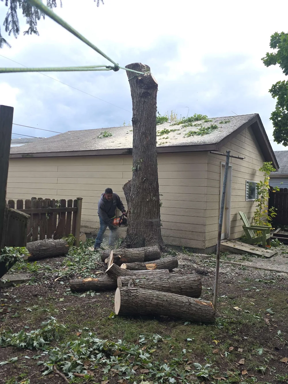 Benny’s worker cutting a remaining tree trunk beside a residential garage, with cut logs in the yard.
